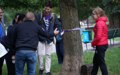 alla ricerca del tesoro