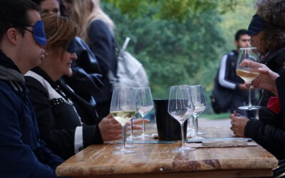 bicchieri in primo piano